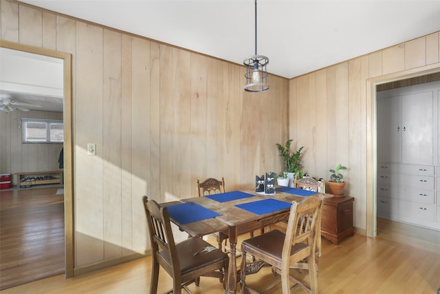 dining room with ceiling fan and light wood-type flooring