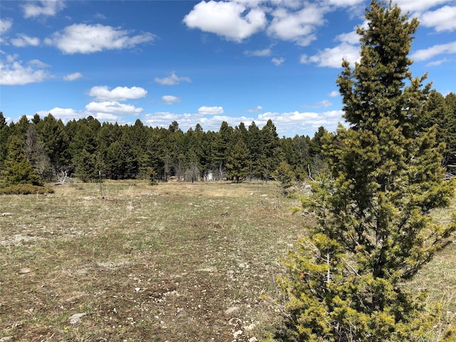 TBD Arrowood Estates Road, Raynesford MT, 59469 land for sale