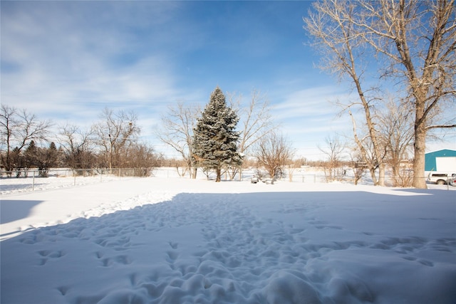 view of snowy yard