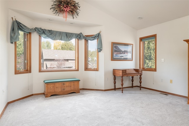 interior space with carpet flooring, vaulted ceiling, and a wealth of natural light