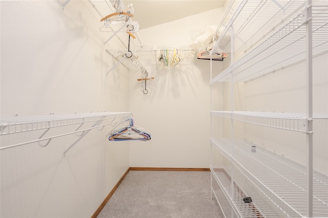 walk in closet with carpet