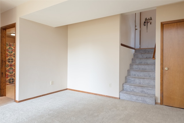 stairway featuring carpet floors