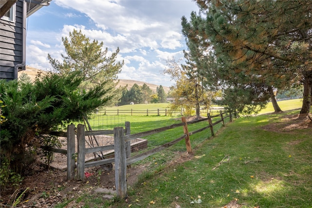 view of yard with a mountain view and a rural view