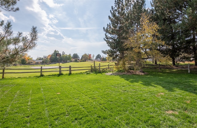 view of yard with a rural view