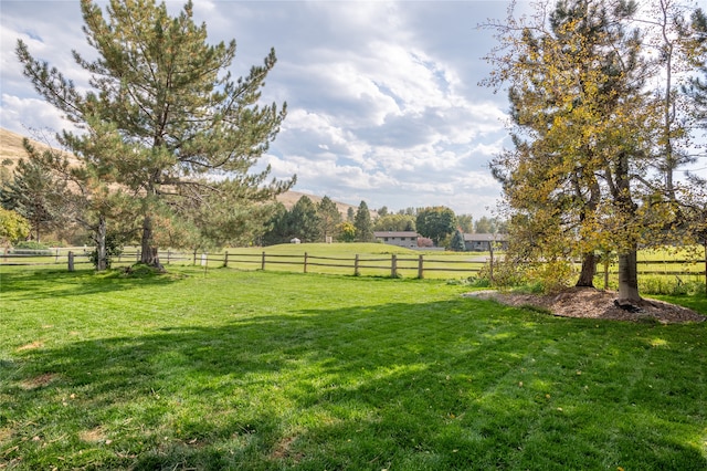 view of yard with a rural view