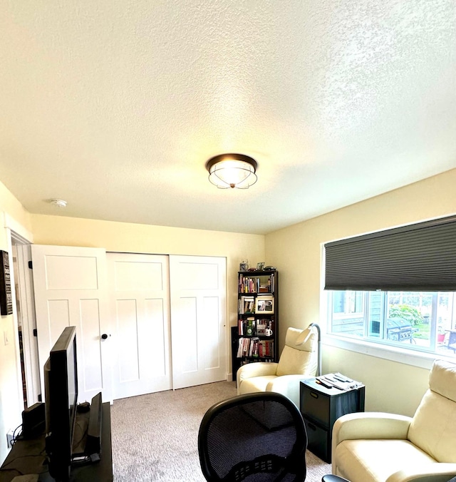 66 Moccasin Ln, Thompson Falls, MT 59873 - living area featuring carpet and a textured ceiling