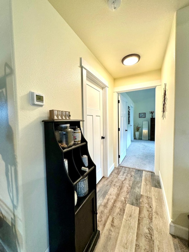 66 Moccasin Ln, Thompson Falls, MT 59873 - hallway with light wood-style floors and baseboards