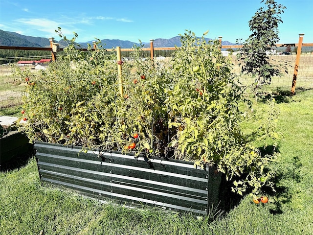 66 Moccasin Ln, Thompson Falls, MT 59873 - view of yard with a mountain view