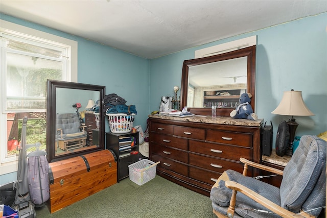 living area featuring carpet flooring