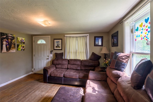 living room featuring wood-type flooring and a textured ceiling