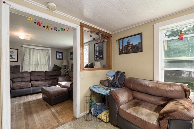 living room featuring light hardwood / wood-style floors and a textured ceiling