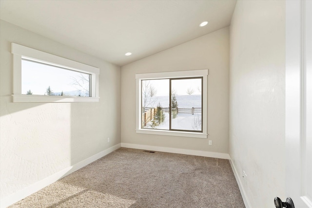 spare room featuring lofted ceiling and carpet flooring