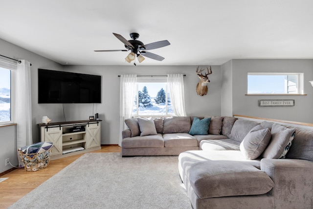 living room with ceiling fan and light hardwood / wood-style floors