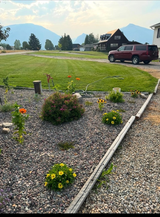 view of yard featuring a mountain view