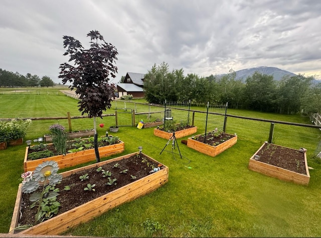 view of property's community featuring a rural view, a mountain view, and a yard