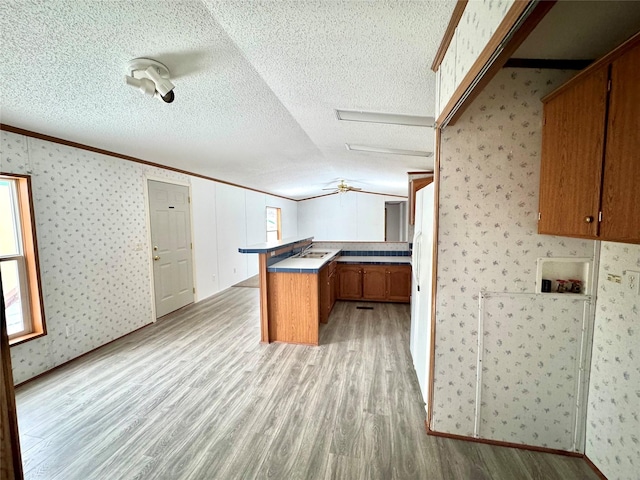 kitchen featuring plenty of natural light, light wood-type flooring, and kitchen peninsula