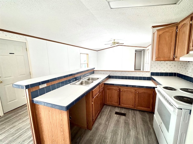 kitchen with sink, hardwood / wood-style flooring, kitchen peninsula, a textured ceiling, and electric stove