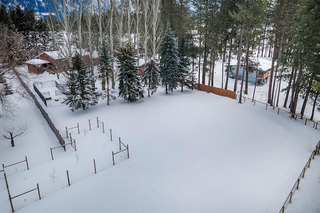 view of snowy yard