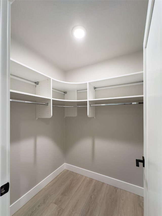 spacious closet featuring hardwood / wood-style floors