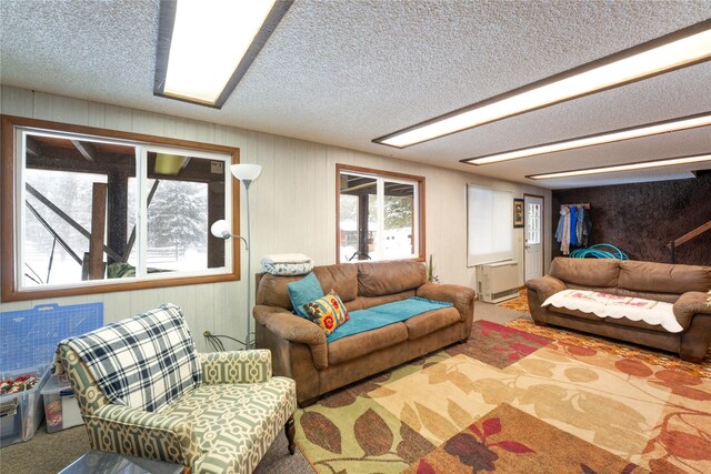 carpeted living area featuring a textured ceiling