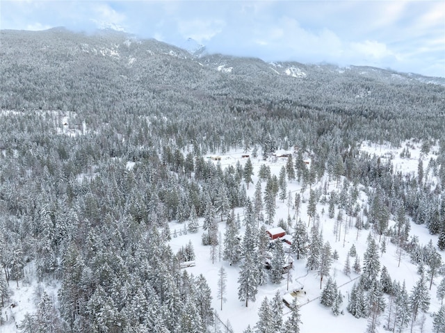 snowy aerial view with a mountain view and a wooded view