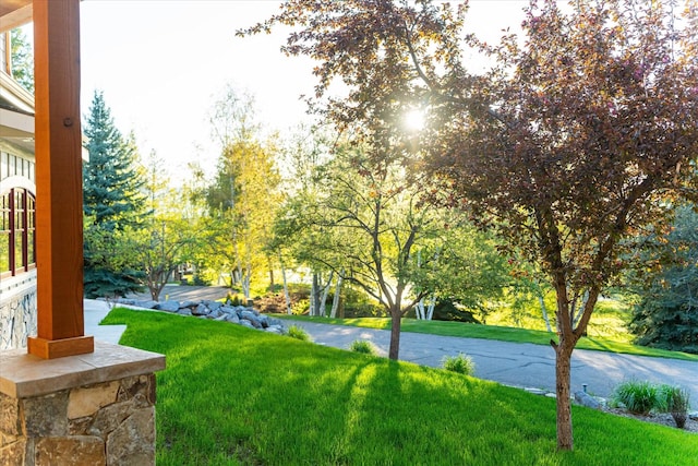 113 Levi Ct, Bigfork, MT 59911 - view of grassy yard