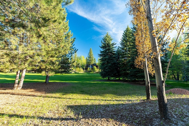 113 Levi Ct, Bigfork, MT 59911 - view of community with a lawn and view of scattered trees