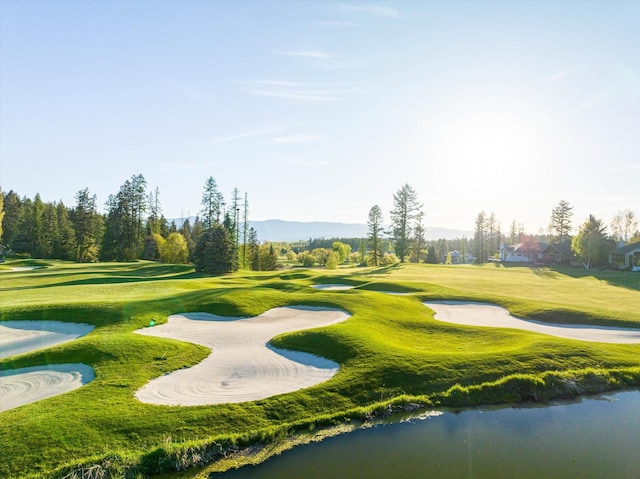 113 Levi Ct, Bigfork, MT 59911 - view of community with golf course view and a water view