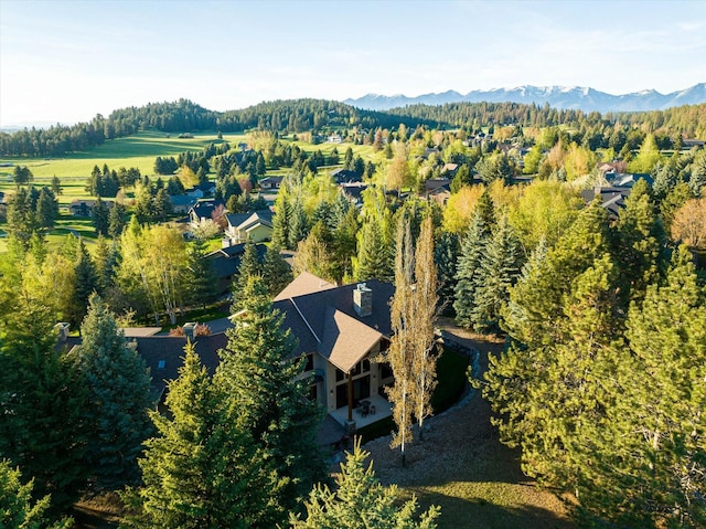 113 Levi Ct, Bigfork, MT 59911 - aerial view of property and surrounding area featuring mountains