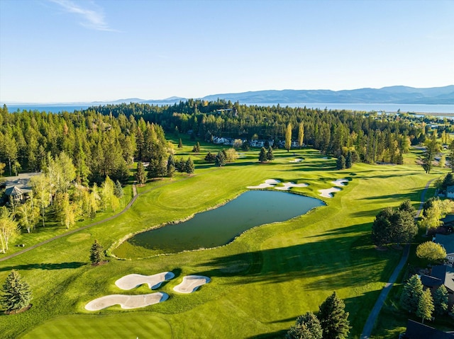 113 Levi Ct, Bigfork, MT 59911 - view of community featuring a water and mountain view and golf course view