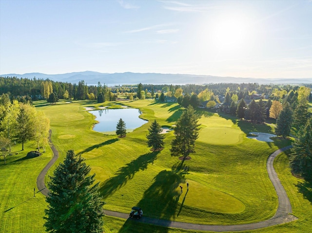 birds eye view of property featuring a water and mountain view