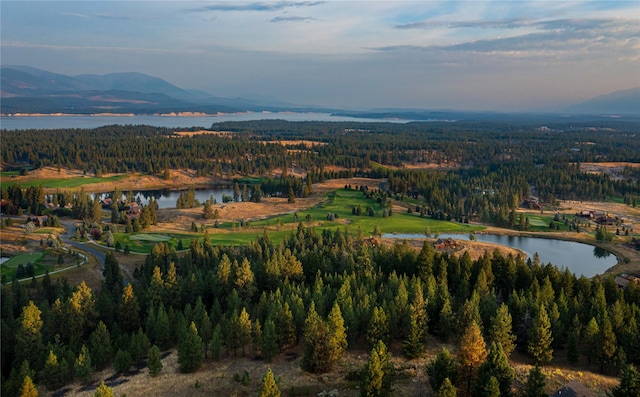 76 Rusty Iron Way, Eureka, MT 59917 - view of property location featuring a water and mountain view and a forest