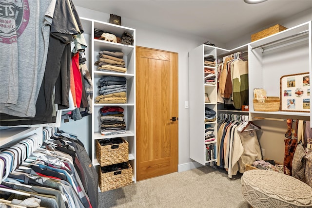 spacious closet with carpet