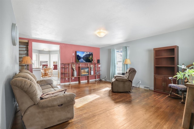 living room featuring wood-type flooring