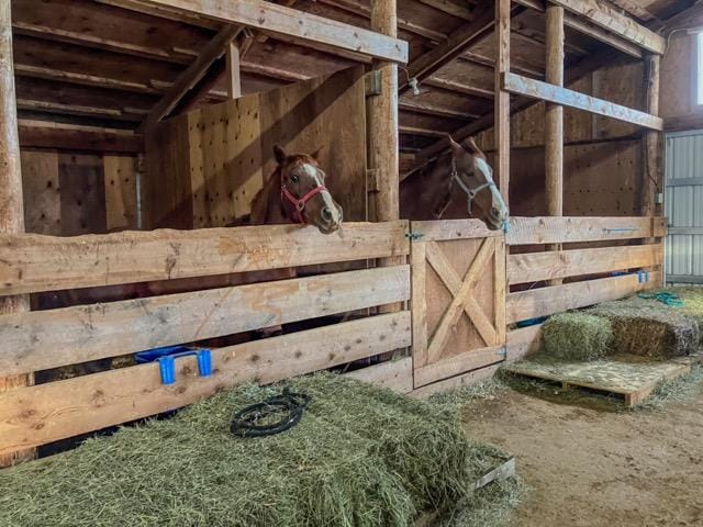 6809 N Montana Ave, Helena, MT 59602 - view of stable