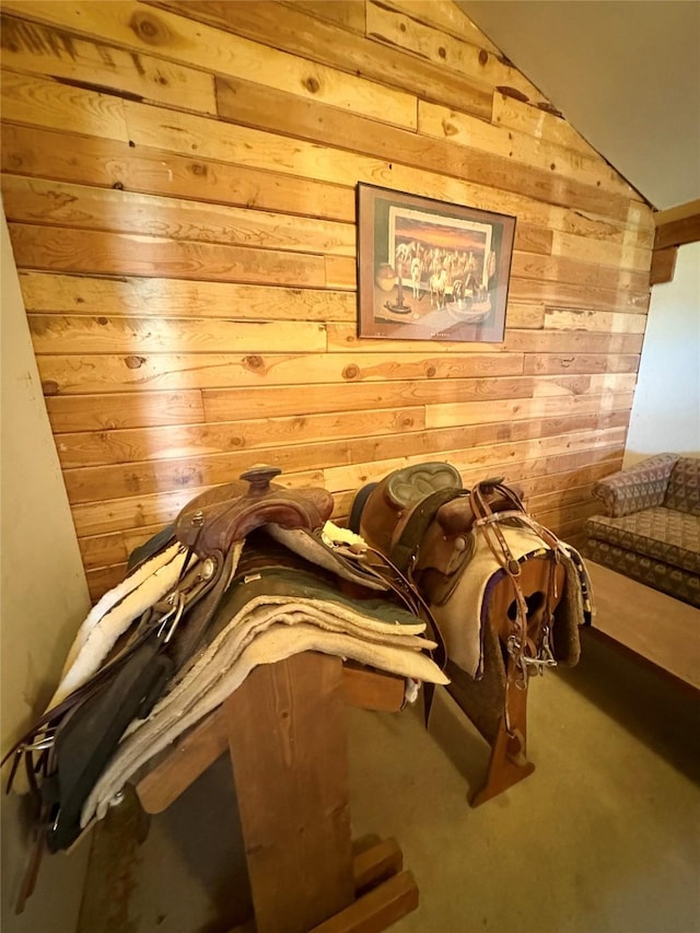 6809 N Montana Ave, Helena, MT 59602 - bedroom with wood walls, vaulted ceiling, and carpet