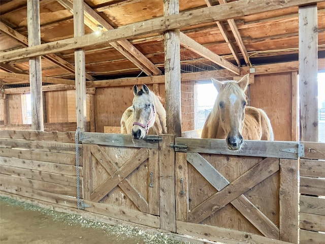 view of stable