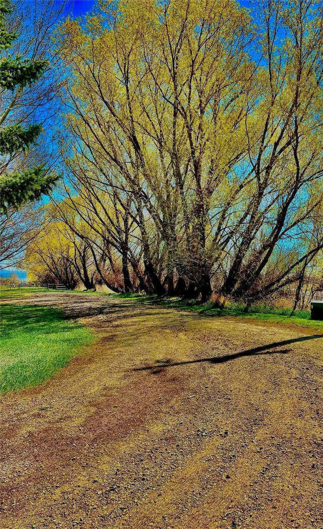 6809 N Montana Ave, Helena, MT 59602 - view of yard