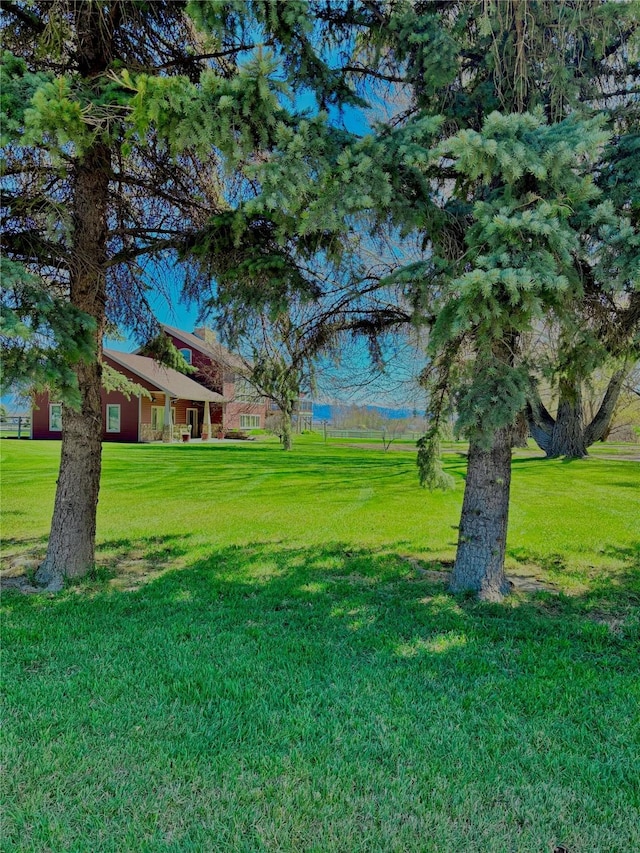 6809 N Montana Ave, Helena, MT 59602 - view of grassy yard
