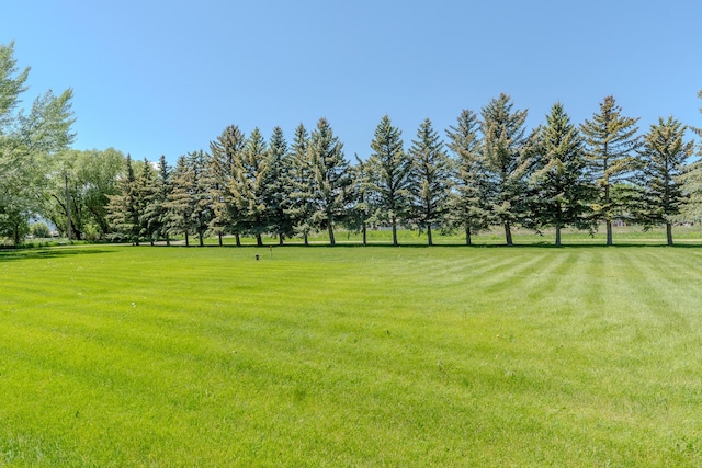 6809 N Montana Ave, Helena, MT 59602 - view of grassy yard