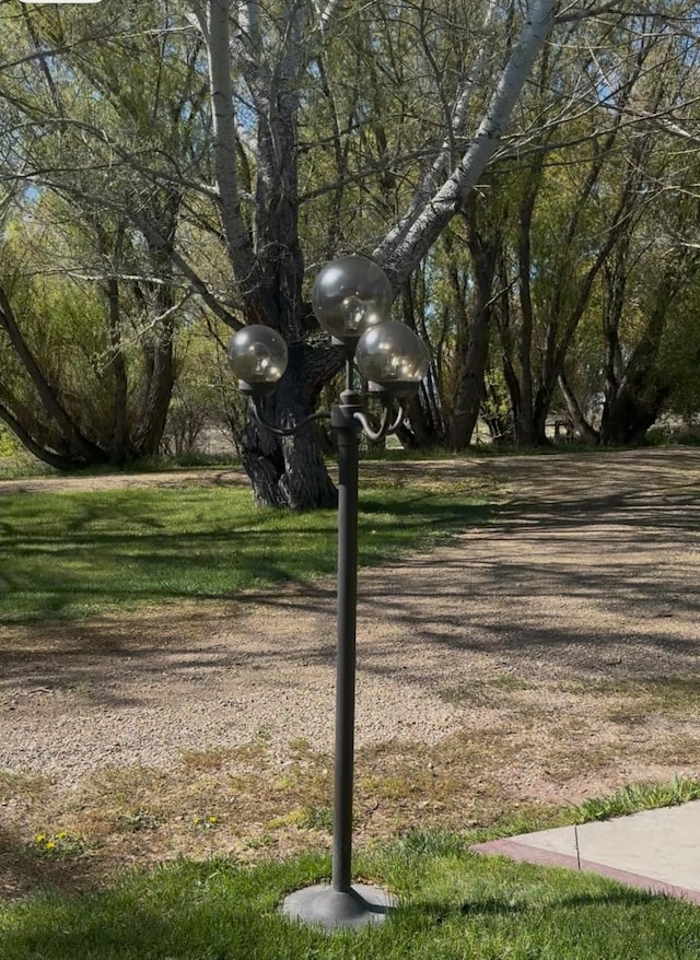 6809 N Montana Ave, Helena, MT 59602 - view of yard
