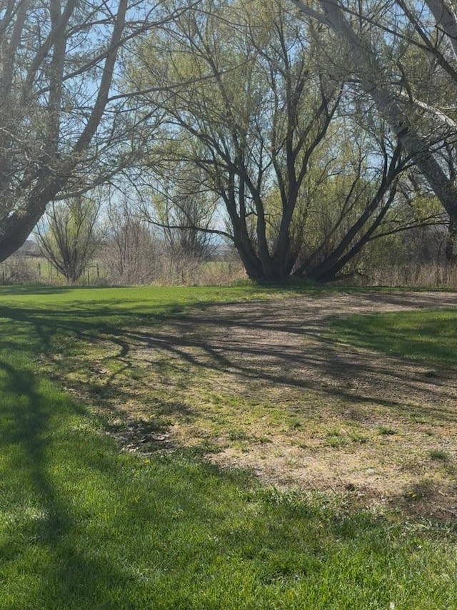 6809 N Montana Ave, Helena, MT 59602 - view of green lawn