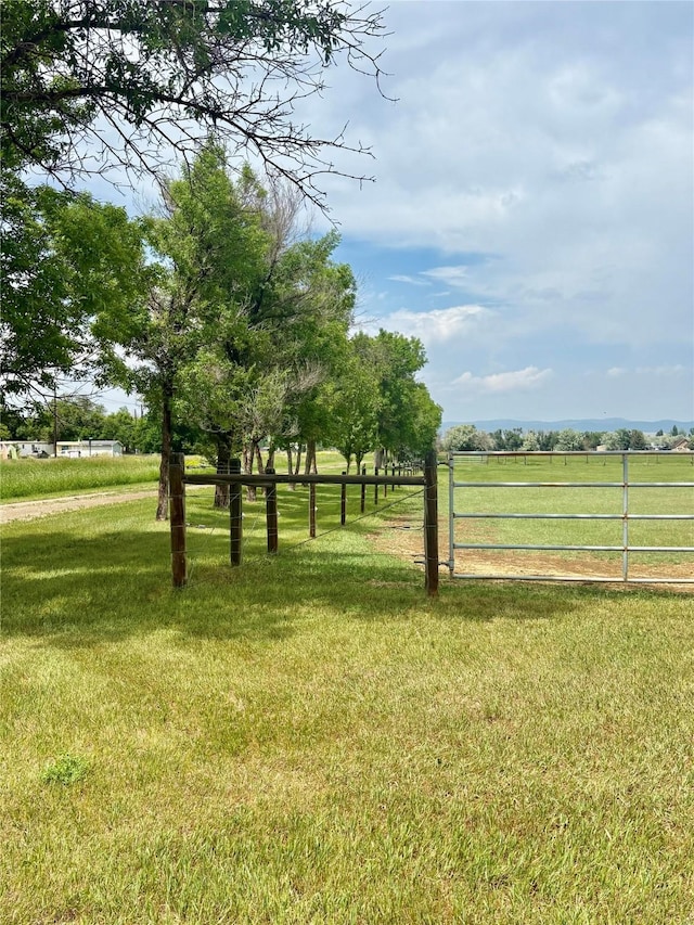 6809 N Montana Ave, Helena, MT 59602 - view of yard