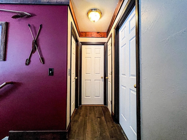 hallway featuring dark hardwood / wood-style flooring