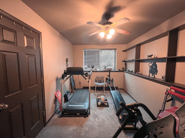 exercise area featuring ceiling fan and carpet flooring