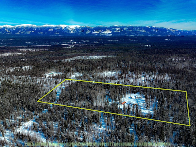 snowy aerial view featuring a mountain view