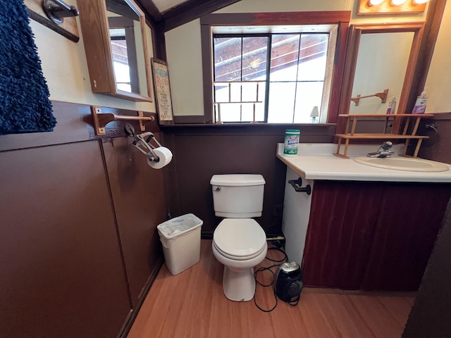 bathroom featuring vanity, toilet, and hardwood / wood-style floors