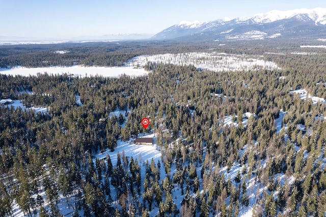 snowy aerial view with a mountain view