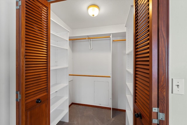 walk in closet with carpet floors
