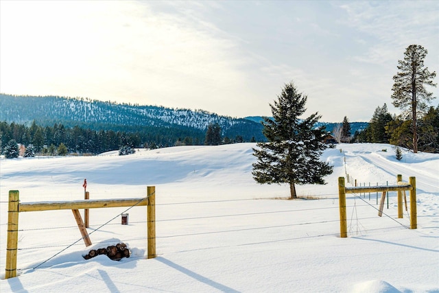 yard covered in snow with a mountain view